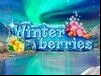 Winterberries