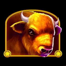 Icon 2