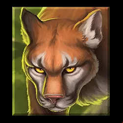 Icon 2