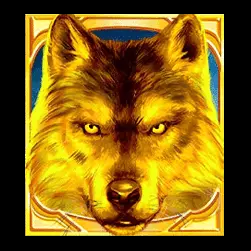 Icon 1