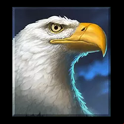 Icon 4