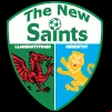 The New Saints FC