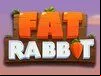 Fat Rabbit