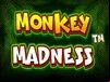 Monkey Madness