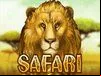 Safari