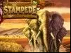 Stampede