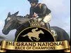 The Grand National Race of Champions