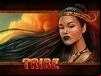 Tribe