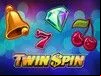 Twin Spin