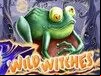 Wild Witches